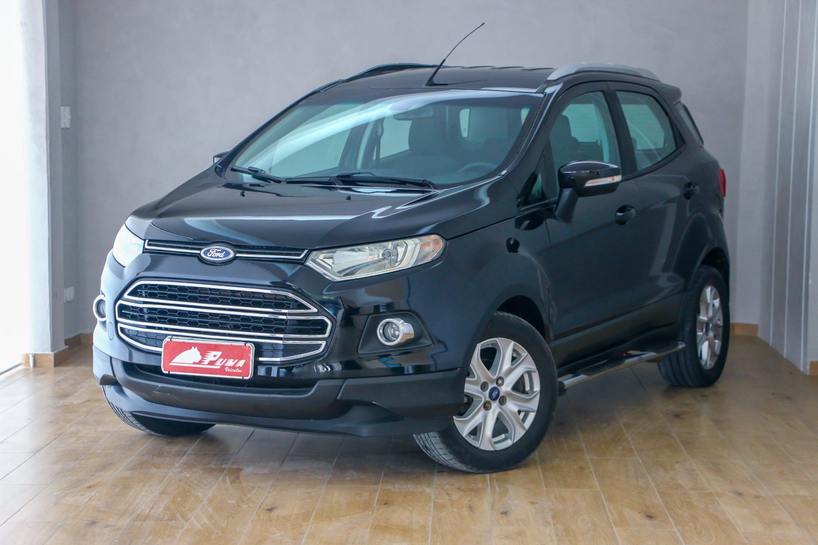 EcoSport