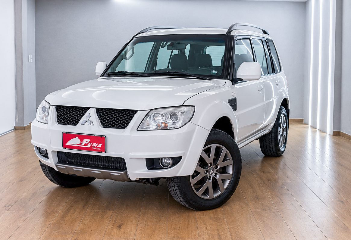 Pajero tr4
